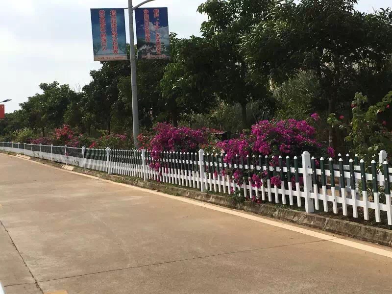 ������ʢ